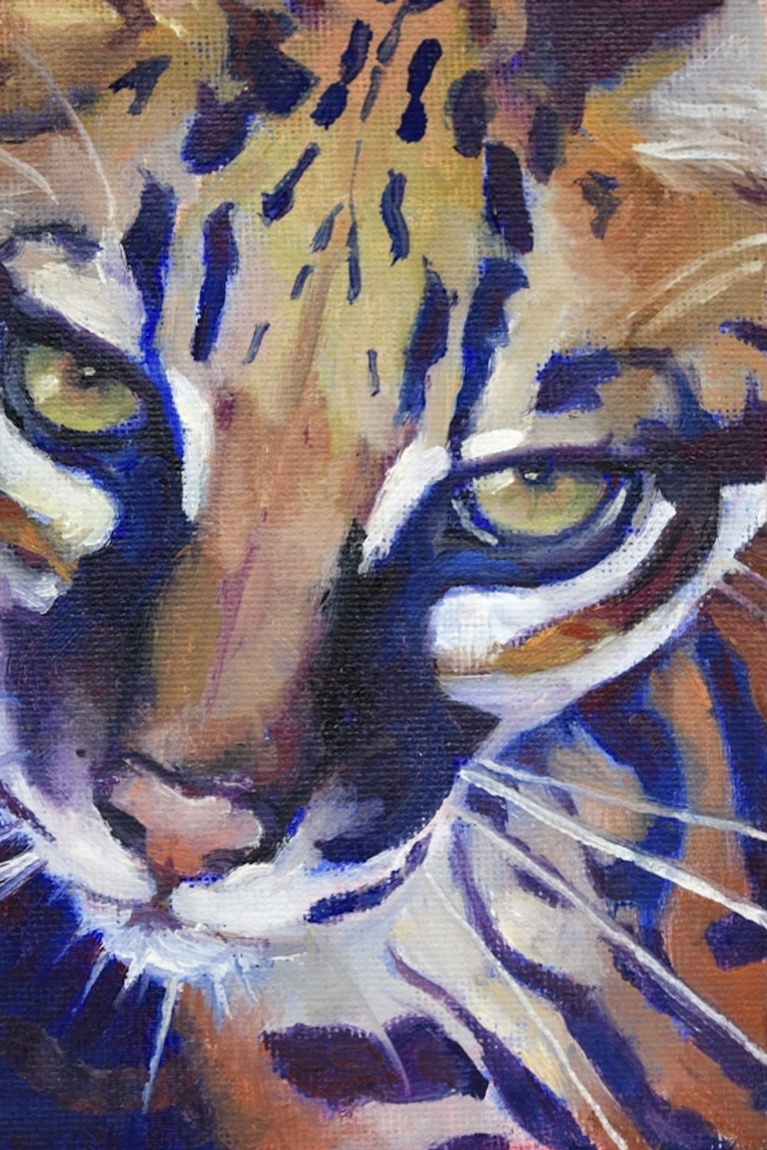 An Ocelot's Eyes