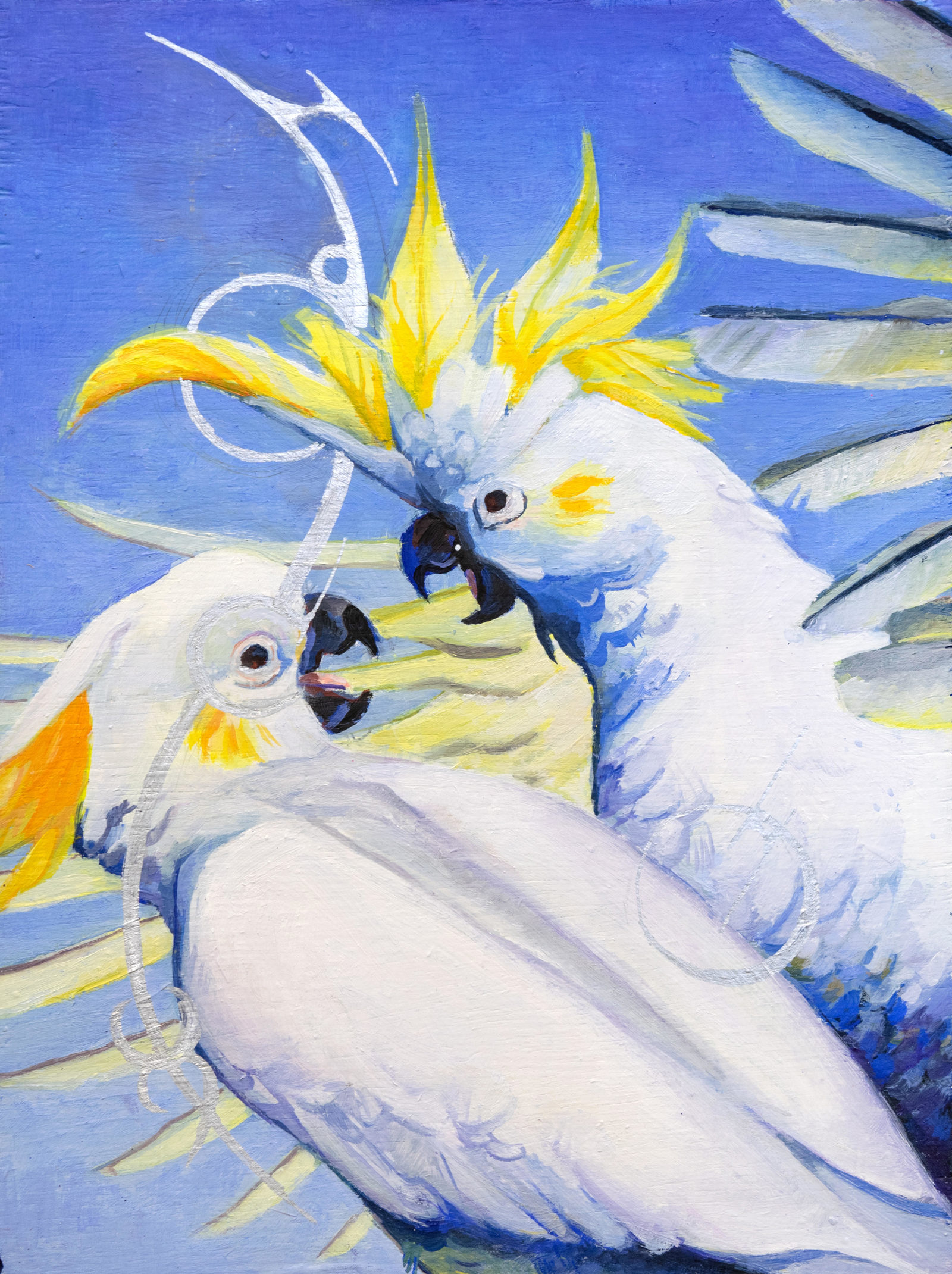 Citrus-Crested Cockatoos