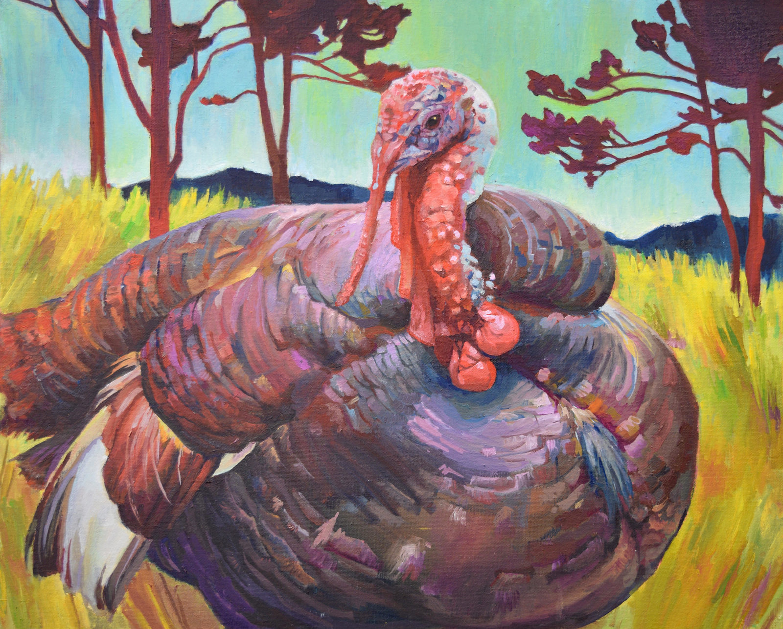 Eldridge, the Eastern Wild Turkey
