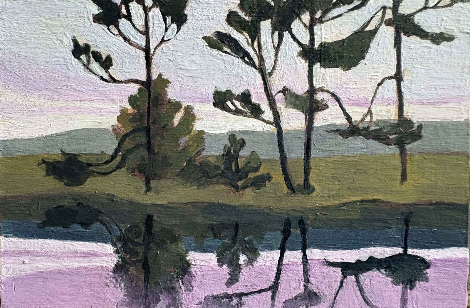 Loblolly Pines