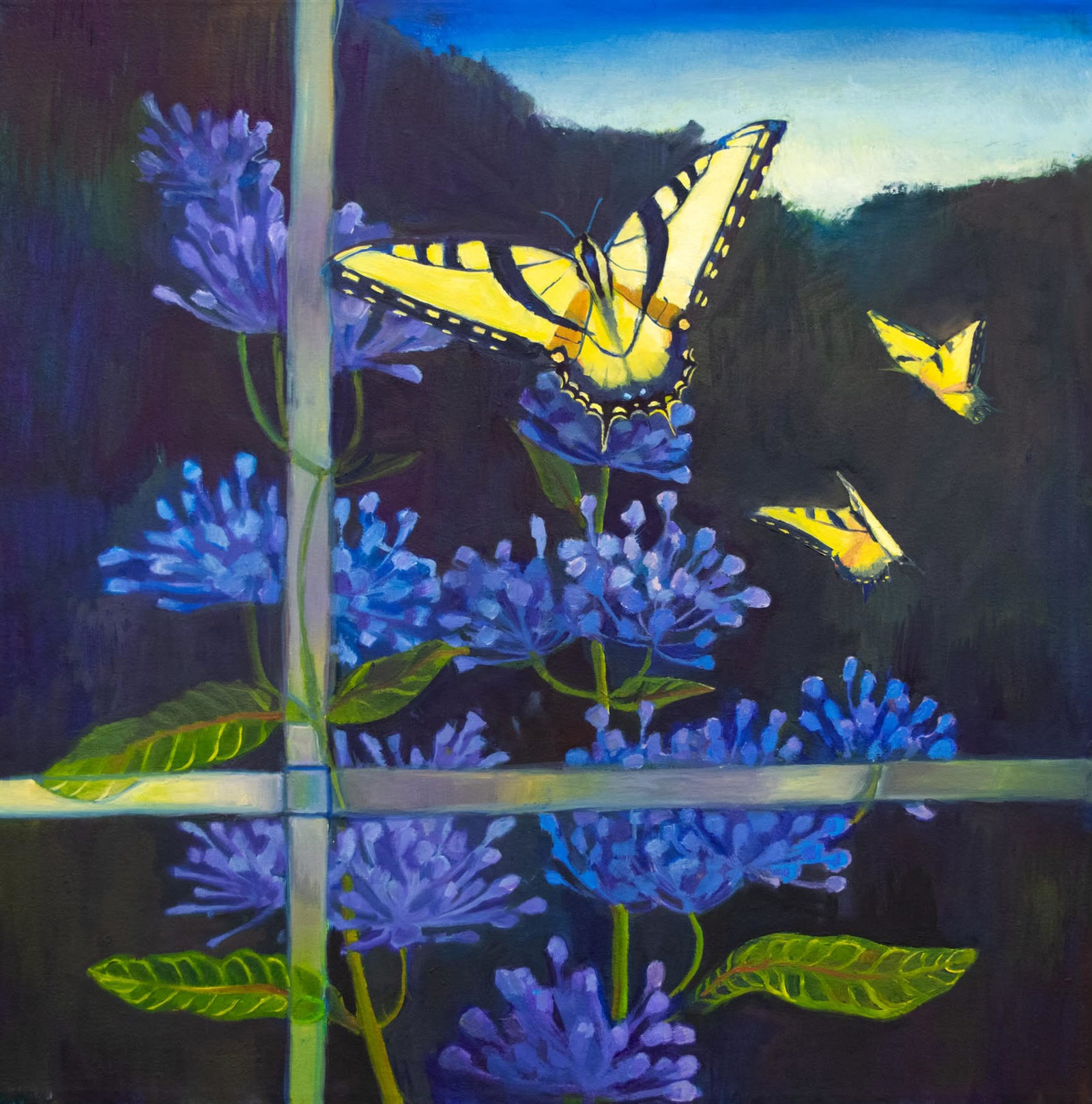 Monarch with Milkweed
