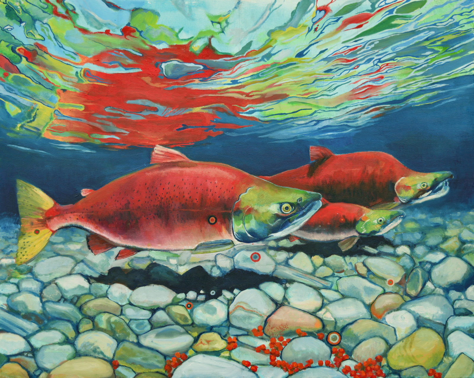 Salmon Run
