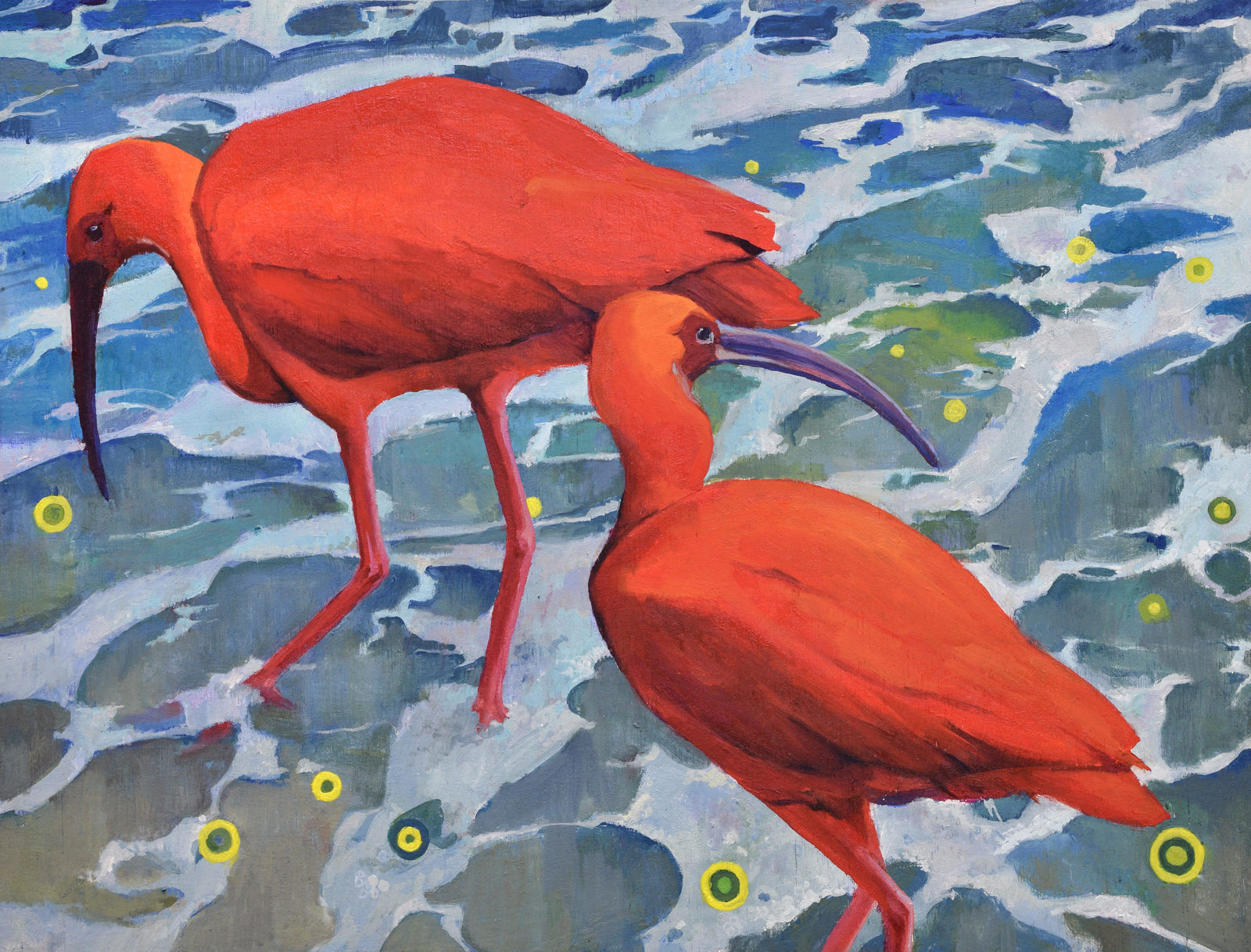 Scarlett Ibis